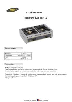 R09GST12-docom.pdf