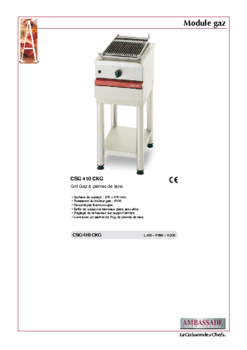 A04CSG410CKG-DOCOM.pdf