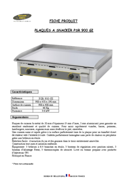 R09PSR900GI-docom.pdf