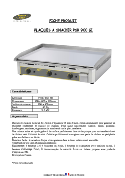 R09PSR900GI-docom.pdf