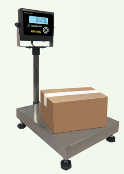 BALANCE COLONNE 300X300 30KG/5G IP56