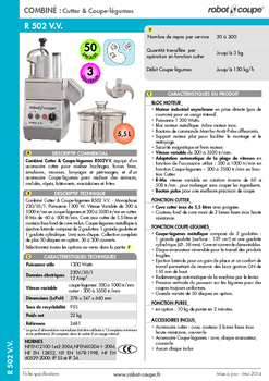 R022481-docom.pdf