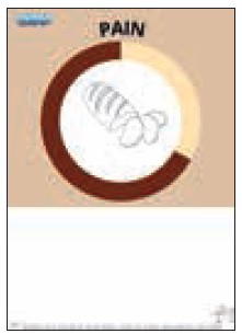 STICKER SIGNALISATION (PAIN)