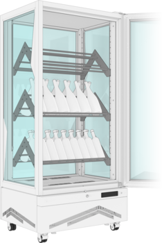 MARILYN 651 WINE DIAGONAL